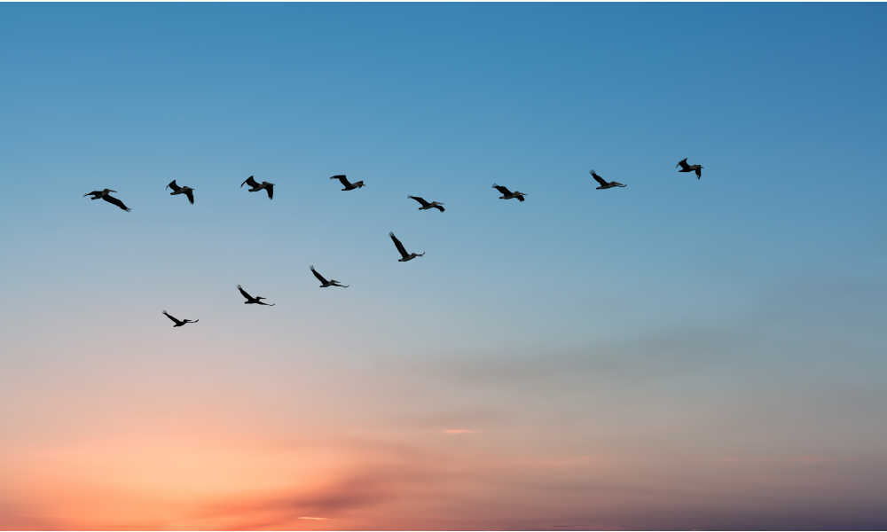 Overcoming Data Migration Challenges in Business Central